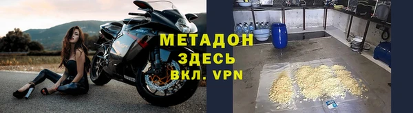 прущие грибы Аркадак