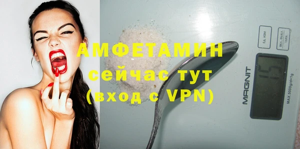 прущие грибы Аркадак